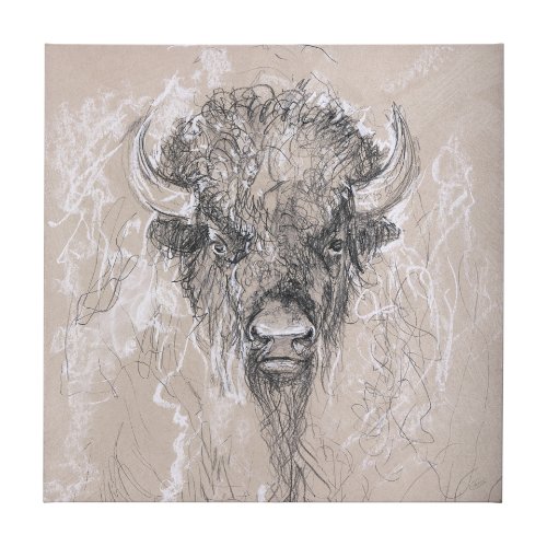 102358-L - Sketch of animal IX (Bison) by Mercana Studio a Hand Embellished Textured Canvas