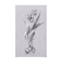 102371-L - Botanical sketches I (Grey) by Mercana Studio a Hand Embellished Textured Canvas