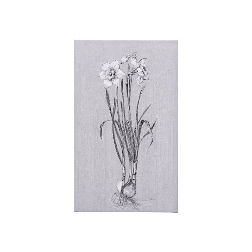 102372-S - Botanical sketches II (Grey) by Mercana Studio a Hand Embellished Textured Canvas