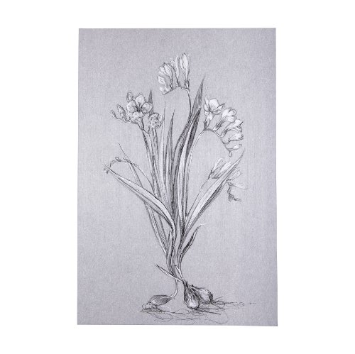 102373-L - Botanical sketches III (Grey) by Mercana Studio a Hand Embellished Textured Canvas