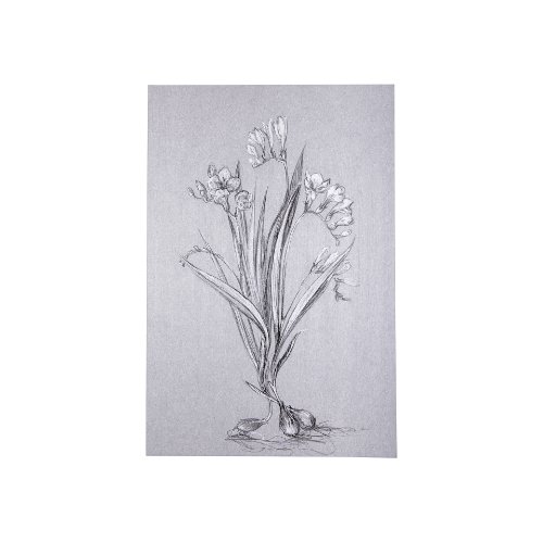 102373-S - Botanical sketches III (Grey) by Mercana Studio a Hand Embellished Textured Canvas