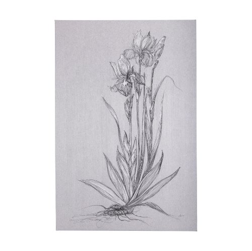 102374-L - Botanical sketches IV (Grey) by Mercana Studio a Hand Embellished Textured Canvas
