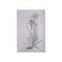 102374-S - Botanical sketches IV (Grey) by Mercana Studio a Hand Embellished Textured Canvas