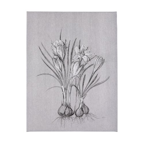102375-L - Botanical sketches V (Grey) by Mercana Studio a Hand Embellished Textured Canvas