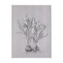 102375-L - Botanical sketches V (Grey) by Mercana Studio a Hand Embellished Textured Canvas