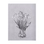 102376-L - Botanical sketches VI (Grey) by Mercana Studio a Hand Embellished Textured Canvas