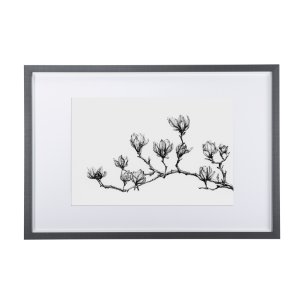 Magnolia II by Mercana Studio a Hand Embellished Textured Framed Art Print Matted under Glass