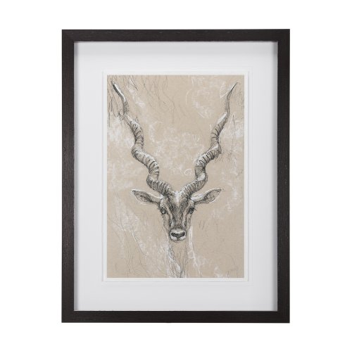 14475 - Sketch of Animal III (Antelope) Mercana Studio Hand Embellished Framed Art Print Matted under Glass
