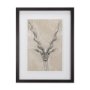 14475 - Sketch of Animal III (Antelope) Mercana Studio Hand Embellished Framed Art Print Matted under Glass