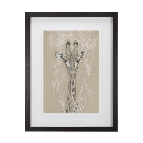 14476 - Sketch of Animal IV (Giraffe) by Mercana Studio Hand Embellished Framed Art Print Matted under Glass