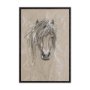 14478 - Sketch of Animal VI (Pony) by Mercana Studio Hand Embellished Framed Art Print Matted under Glass