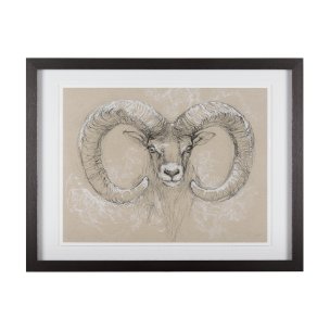 Sketch of animal I (Wild sheep) Mercana Studio Hand Embellished Framed Art Print Matted under Glass