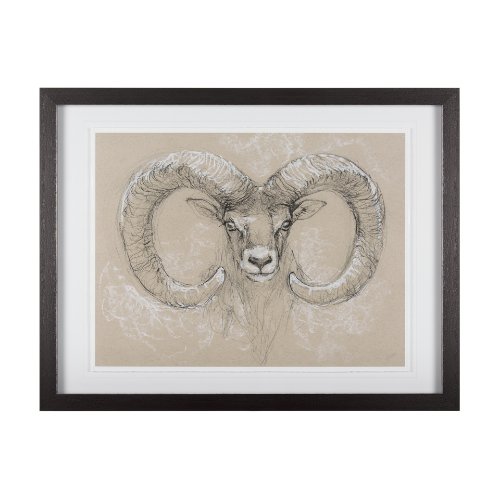 14480 - Sketch of animal I (Wild sheep) Mercana Studio Hand Embellished Framed Art Print Matted under Glass