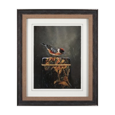 14484 - Graceful Poise III (Bay-Breasted Warbler)