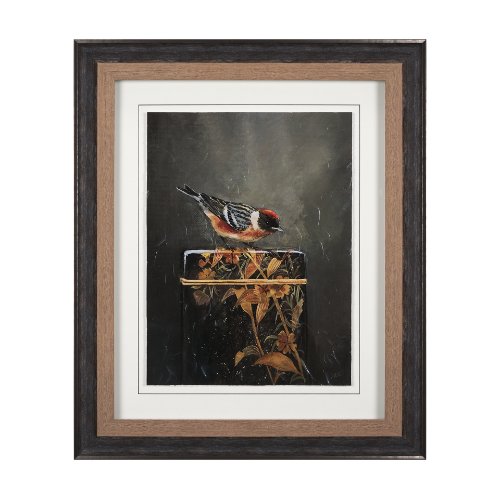14484 - Graceful Poise III (Bay-Breasted Warbler)
