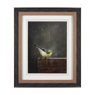 Graceful Poise IV (Blackburnian Warbler)