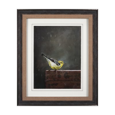14485 - Graceful Poise IV (Blackburnian Warbler)