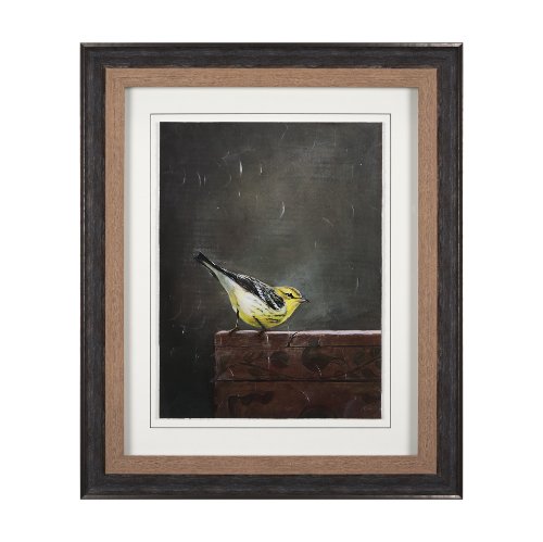 14485 - Graceful Poise IV (Blackburnian Warbler)
