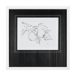 Fruit Sketch Apple by Mercana Studio a Hand Embellished Textured Framed Art Print Matted under Glass