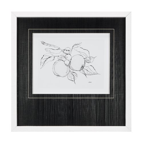 14490 - Fruit Sketch Apple by Mercana Studio a Hand Embellished Textured Framed Art Print Matted under Glass