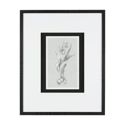 14534 - Botanical sketches I (Grey) by Mercana Studio Hand Embellished Framed Art Print Matted under Glass