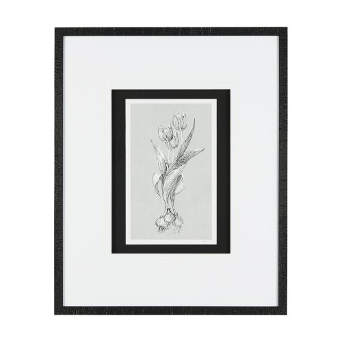 14534 - Botanical sketches I (Grey) by Mercana Studio Hand Embellished Framed Art Print Matted under Glass