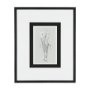 14535 - Botanical sketches II (Grey) by Mercana Studio Hand Embellished Framed Art Print Matted under Glass