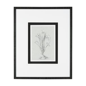 Botanical sketches III (Grey) by Mercana Studio Hand Embellished Framed Art Print Matted under Glass