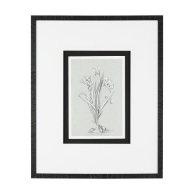 14536 - Botanical sketches III (Grey) by Mercana Studio Hand Embellished Framed Art Print Matted under Glass