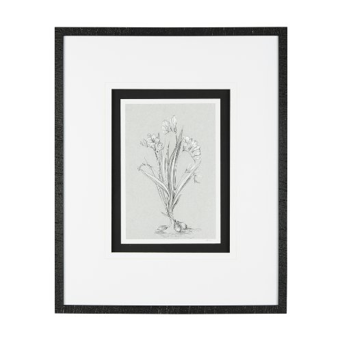 14536 - Botanical sketches III (Grey) by Mercana Studio Hand Embellished Framed Art Print Matted under Glass