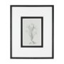 14536 - Botanical sketches III (Grey) by Mercana Studio Hand Embellished Framed Art Print Matted under Glass