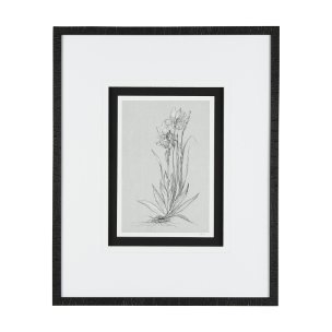 Botanical sketches IV (Grey) by Mercana Studio Hand Embellished Framed Art Print Matted under Glass