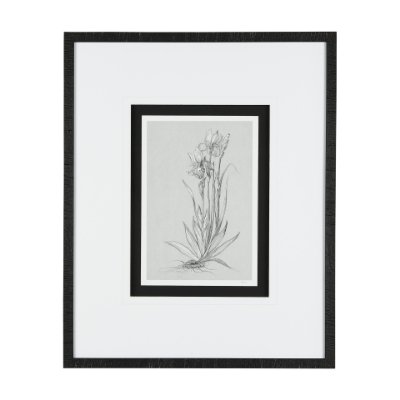 14537 - Botanical sketches IV (Grey) by Mercana Studio Hand Embellished Framed Art Print Matted under Glass