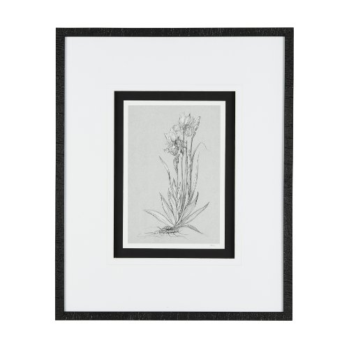 14537 - Botanical sketches IV (Grey) by Mercana Studio Hand Embellished Framed Art Print Matted under Glass