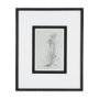 14537 - Botanical sketches IV (Grey) by Mercana Studio Hand Embellished Framed Art Print Matted under Glass