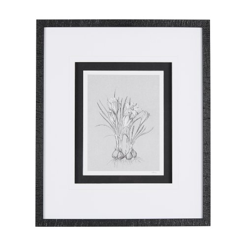 14538 - Botanical sketches V (Grey) by Mercana Studio Hand Embellished Framed Art Print Matted under Glass