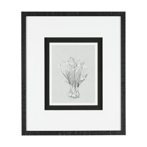 14539 - Botanical sketches VI (Grey) by Mercana Studio Hand Embellished Framed Art Print Matted under Glass