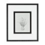 14539 - Botanical sketches VI (Grey) by Mercana Studio Hand Embellished Framed Art Print Matted under Glass