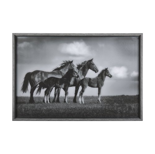 14545 - Focused by Mercana Studio a Hand Embellished Textured Framed Photo Art Print Matted under Glass
