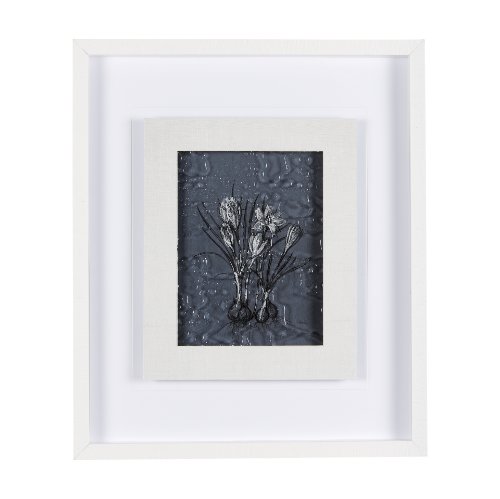14565 - Botanical sketches V (Blue) by Mercana Studio Hand Embellished Framed Art Print Matted under Glass