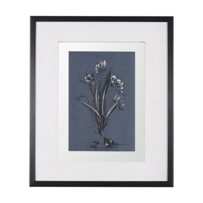 14571 - Botanical sketches III (Blue) by Mercana Studio Hand Embellished Framed Art Print Matted under Glass
