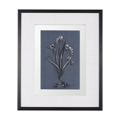 14571 - Botanical sketches III (Blue) by Mercana Studio Hand Embellished Framed Art Print Matted under Glass