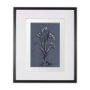 14571 - Botanical sketches III (Blue) by Mercana Studio Hand Embellished Framed Art Print Matted under Glass
