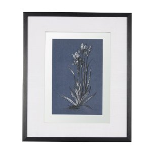 Botanical sketches IV (Blue) by Mercana Studio Hand Embellished Framed Art Print Matted under Glass