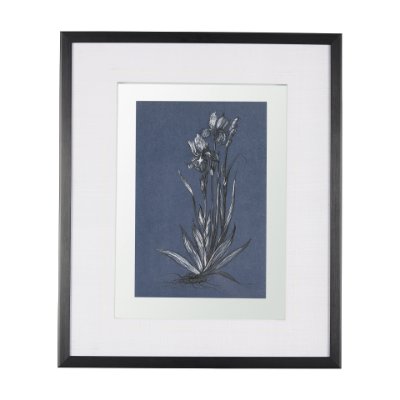 14572 - Botanical sketches IV (Blue) by Mercana Studio Hand Embellished Framed Art Print Matted under Glass