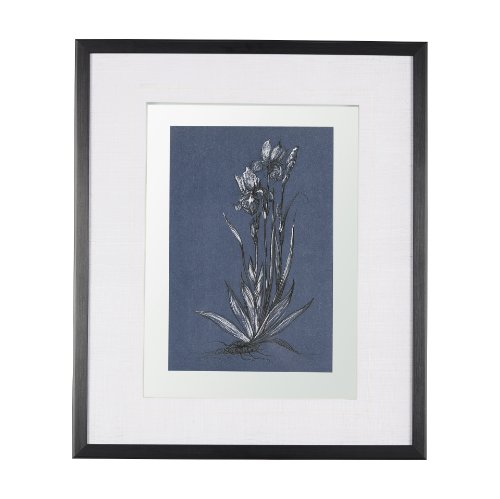 14572 - Botanical sketches IV (Blue) by Mercana Studio Hand Embellished Framed Art Print Matted under Glass