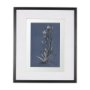 14572 - Botanical sketches IV (Blue) by Mercana Studio Hand Embellished Framed Art Print Matted under Glass