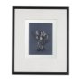 14573 - Botanical sketches V (Blue) by Mercana Studio Hand Embellished Framed Art Print Matted under Glass