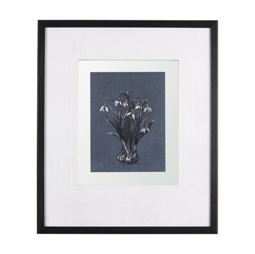14574 - Botanical sketchesVI (Blue) by Mercana Studio Hand Embellished Framed Art Print Matted under Glass