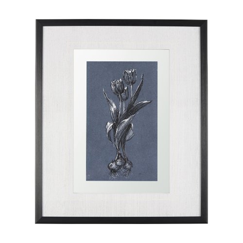 14575 - Botanical sketches I (Blue) by Mercana Studio Hand Embellished Framed Art Print Matted under Glass